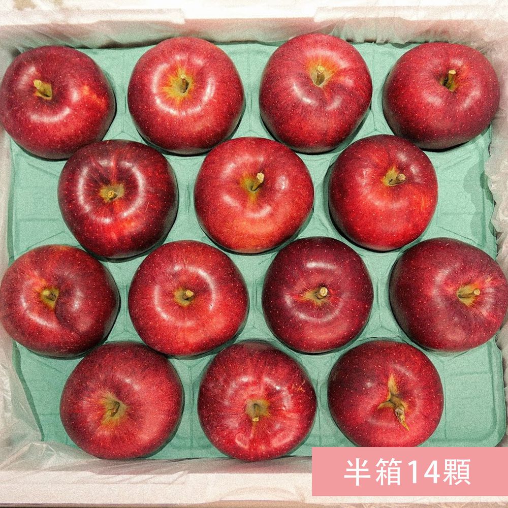 日本青森縣的黑金鋼～大紅榮蘋果XL半箱14顆