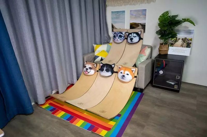 ColorFan - 多用途彎板枕-哈士奇