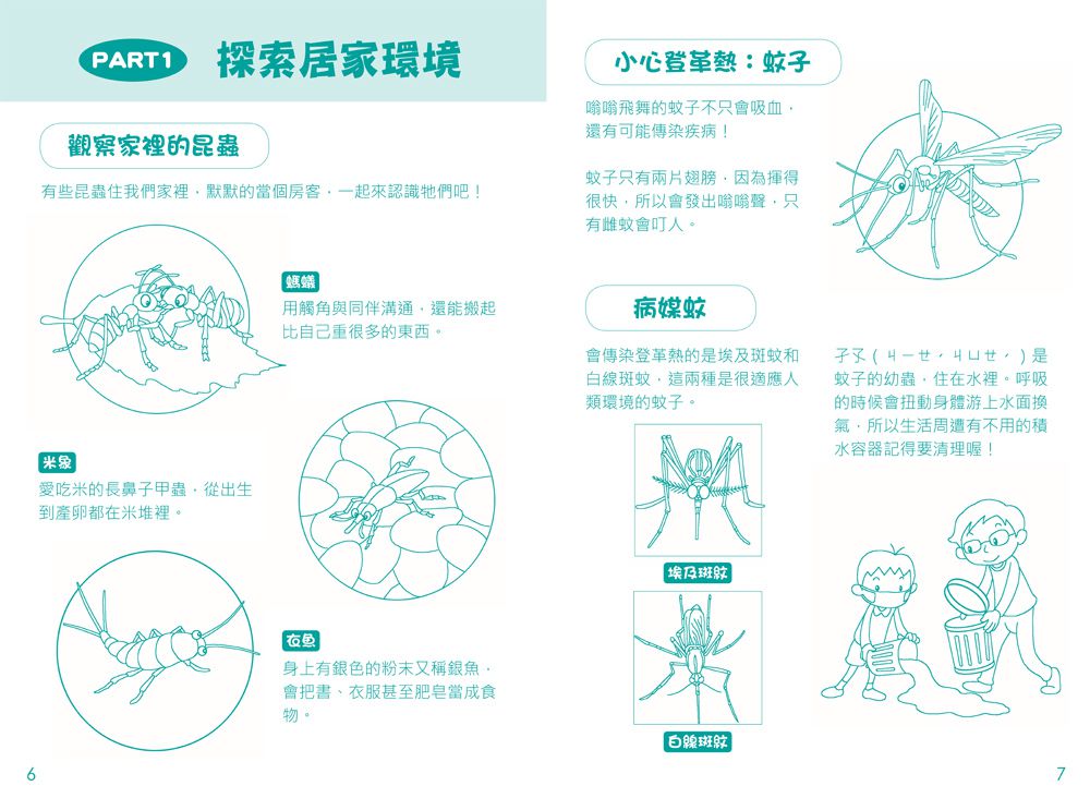 小小自然探險家：昆蟲捕捉觀察罐-1個捕捉觀察罐+1本昆蟲觀察遊戲書