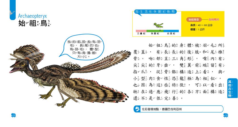 双美生活文創 - GO！勇闖恐龍島-內附3個超大立體遊戲場景+24個恐龍模型&場景配件+1本恐龍小圖鑑