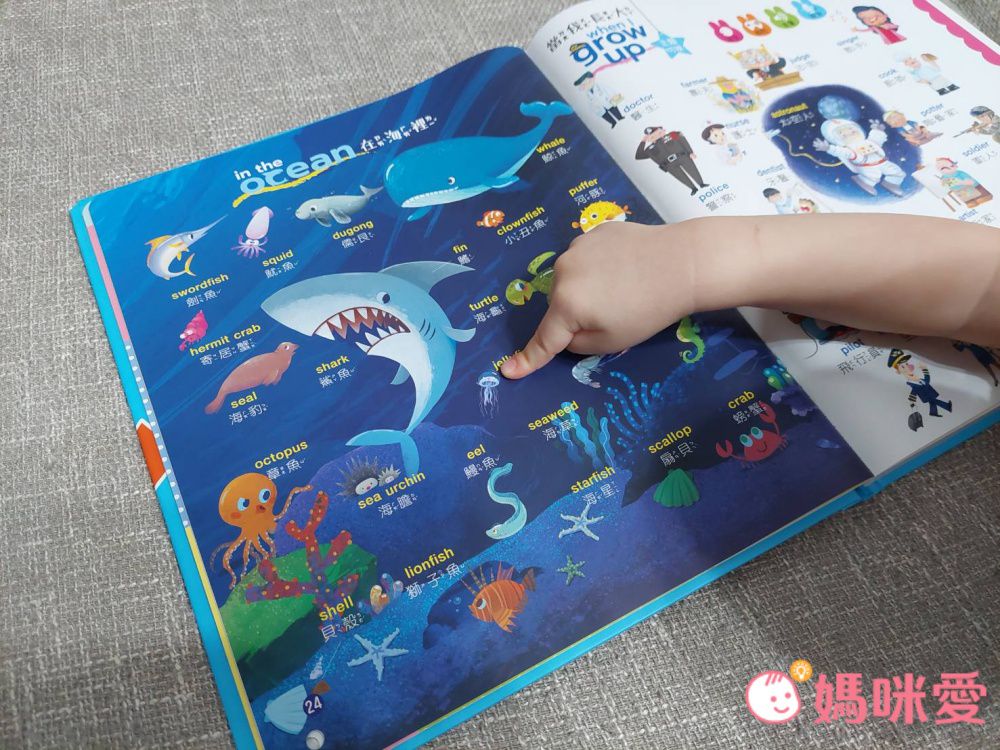 手指按按單字圖畫點讀書(Pro版)