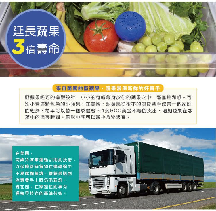 美國Bluapple - 藍蘋果-保鮮除臭版-一組二入 (直徑約6公分)