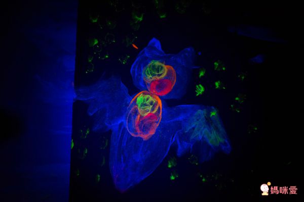 英國Brian Clegg - 好洗無毒手指顏料-6色(螢光色)