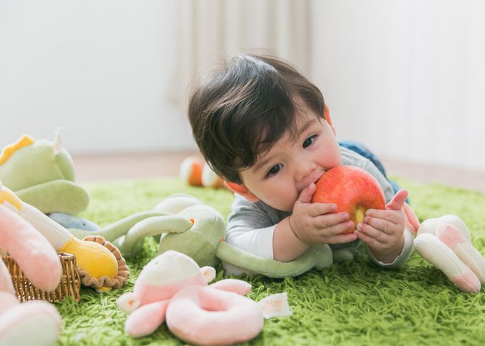 miYim - 有機棉手搖鈴 呼倫貝爾(新生嬰兒寶寶感統安撫玩偶)