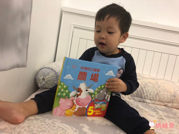 單本99元起！上人文化好奇寶貝專屬★好棒的立體書／翻翻書／推拉書／貼紙書