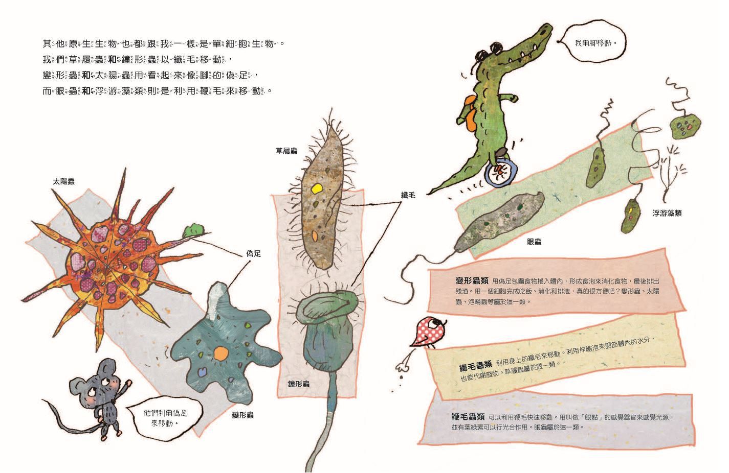 微生物小祕密系列1-4(共四冊)　:　破除刻板印象、認識生活中無所不在的細菌、病毒、真菌、原生生物-精裝