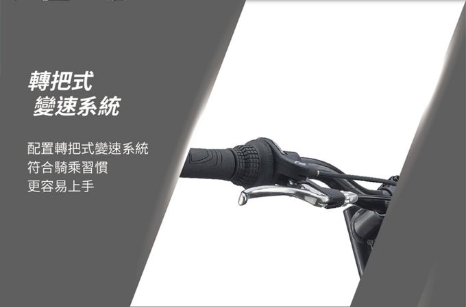 GIANT 捷安特 - XTC JR 24 青少年避震越野自行車-金屬灰 (單一尺寸)