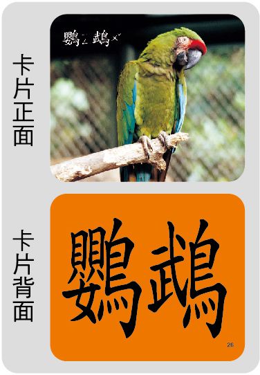 創意手提識字卡：動物(98新版)