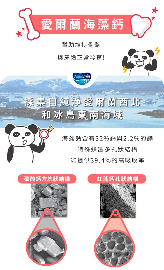 鑫耀生技Panda - 全方位成長-膠原海藻鈣錠+綜合酵素營養錠-200錠+200錠