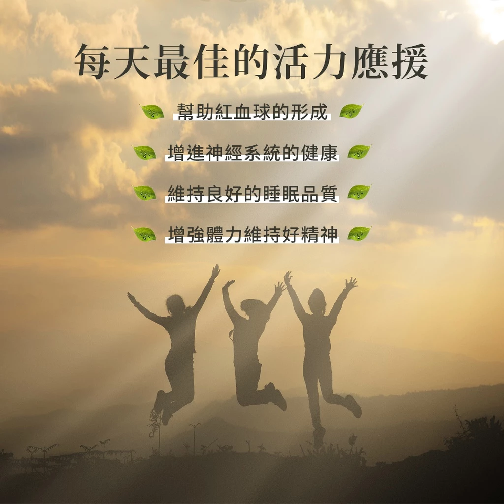 Sanct Bernhard 德國百年草本-Herbafit 維生素B12 1000mcg 錠狀 (180顆/罐)
