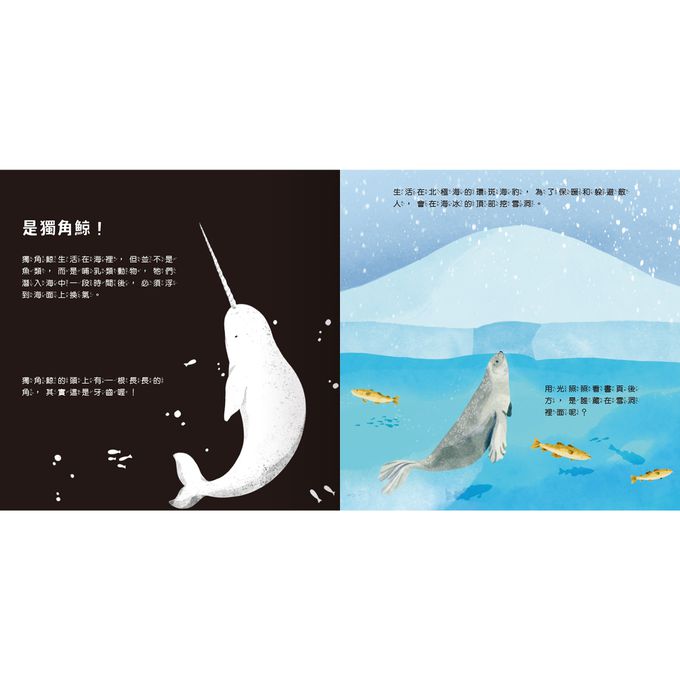 登登登！透光Show 海洋生物來囉！