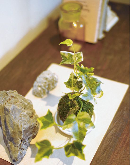 日本 KISHIMA - CT觸媒 消臭仿真盆栽-和風球狀-KH-61060 (φ14.5x16cm)