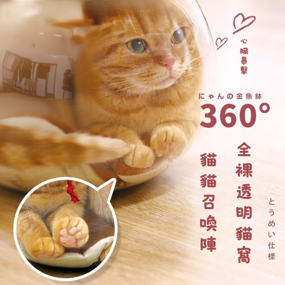 【貓貓召喚陣x第四彈】全裸透明貓窩-金魚缽 (F)