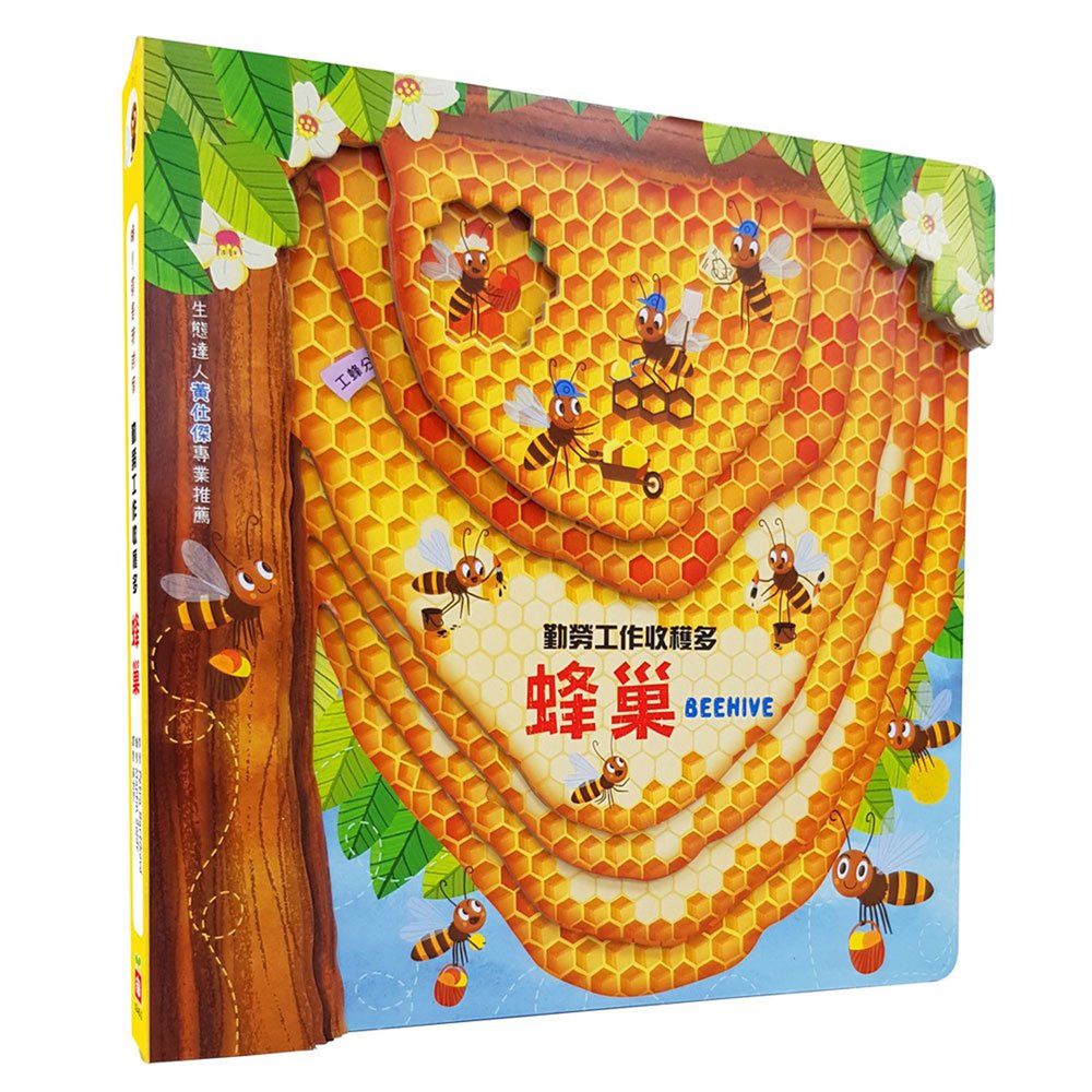 嗨!這是我的家:蜂巢