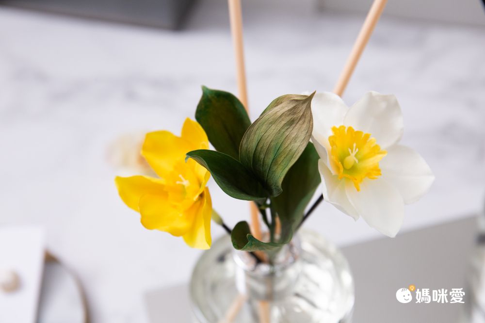 韓國 cocodor - 水仙花永生葉款擴香瓶-四月花香-120ml