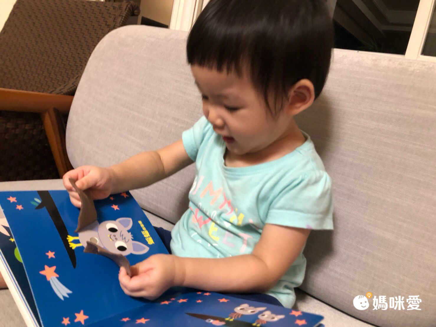 下殺57折起↘法國感統觸摸有聲書  0-3歲可摸可聽可看