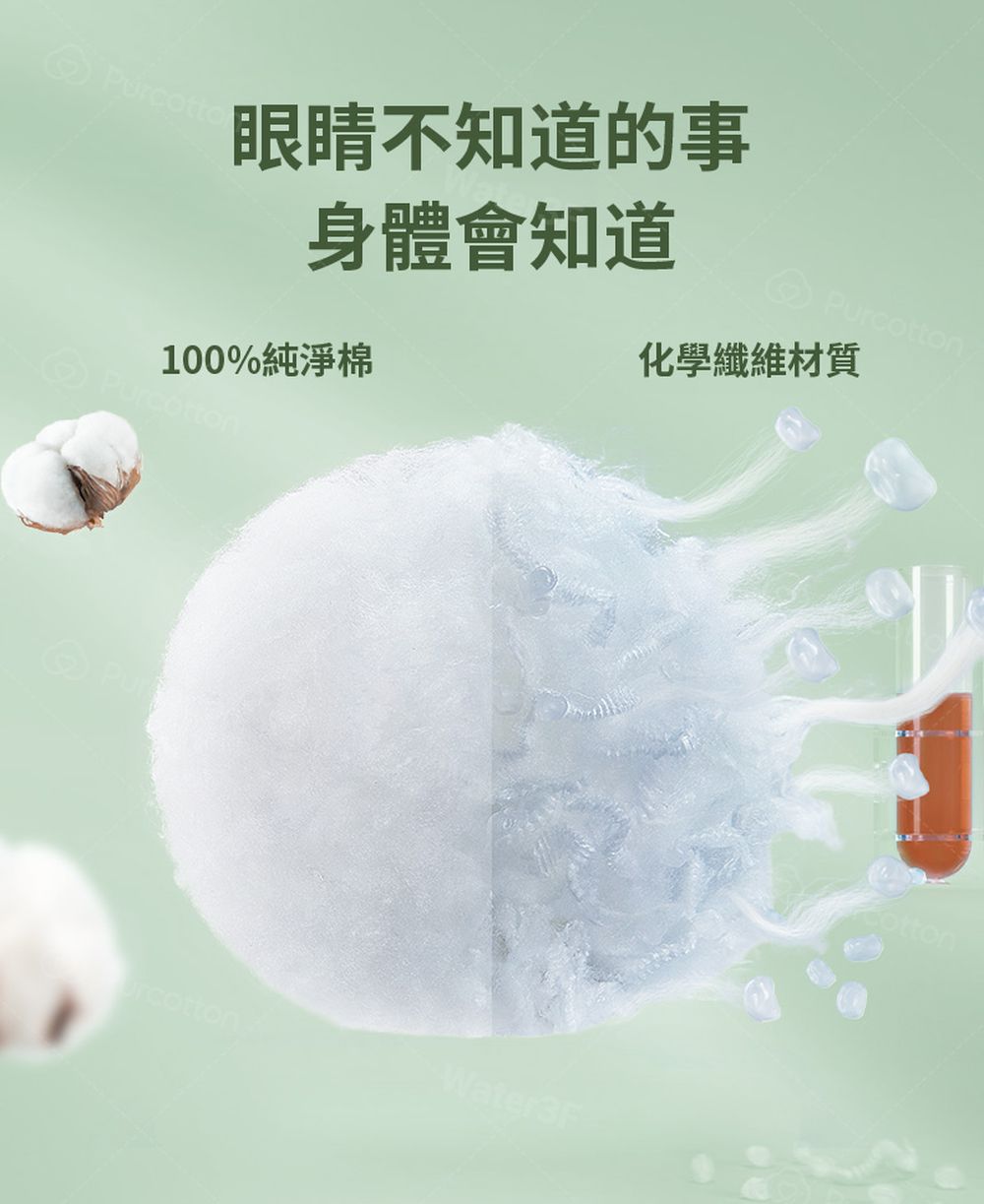 奈絲公主 100%純棉超淨吸護墊 (15公分X20入X 1包) (1包)