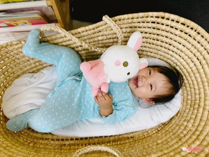 日本 Combi - 四合一聲光舒眠安撫玩具-Baby Malo-0個月以上