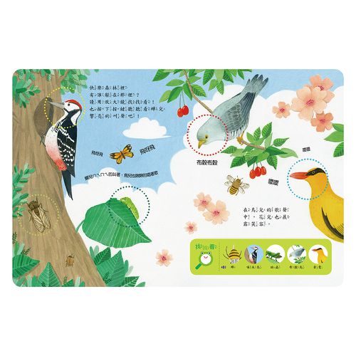 放大鏡有聲書-自然觀察