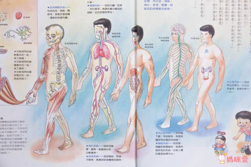 東方套書開箱☆經典必收☞ 福爾摩斯、世界經典文學、科學小百科