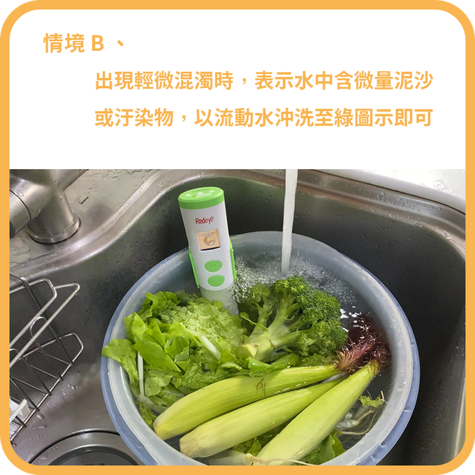 瑞愛生醫  RedEye - 蔬果洗淨管家 PestiEye
