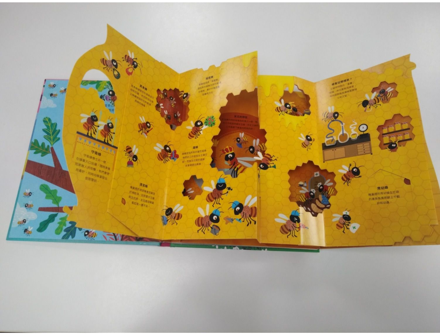 打造你的歷史博物館立體書（內含5組古代文物立體模型）