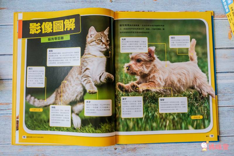 國家地理兒童百科：寵物 (精裝 / 63頁 /全彩印刷)