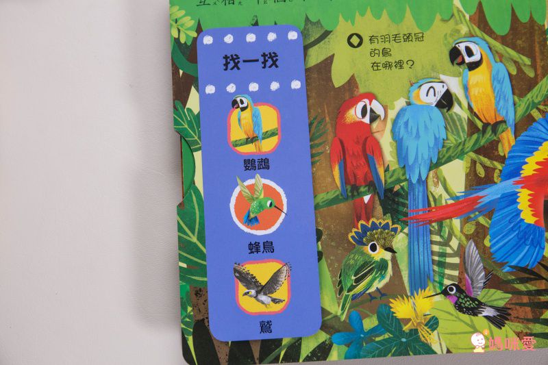 ★打造聰明好腦袋★益智翻翻小百科 / 童趣推拉轉操作書大集合！