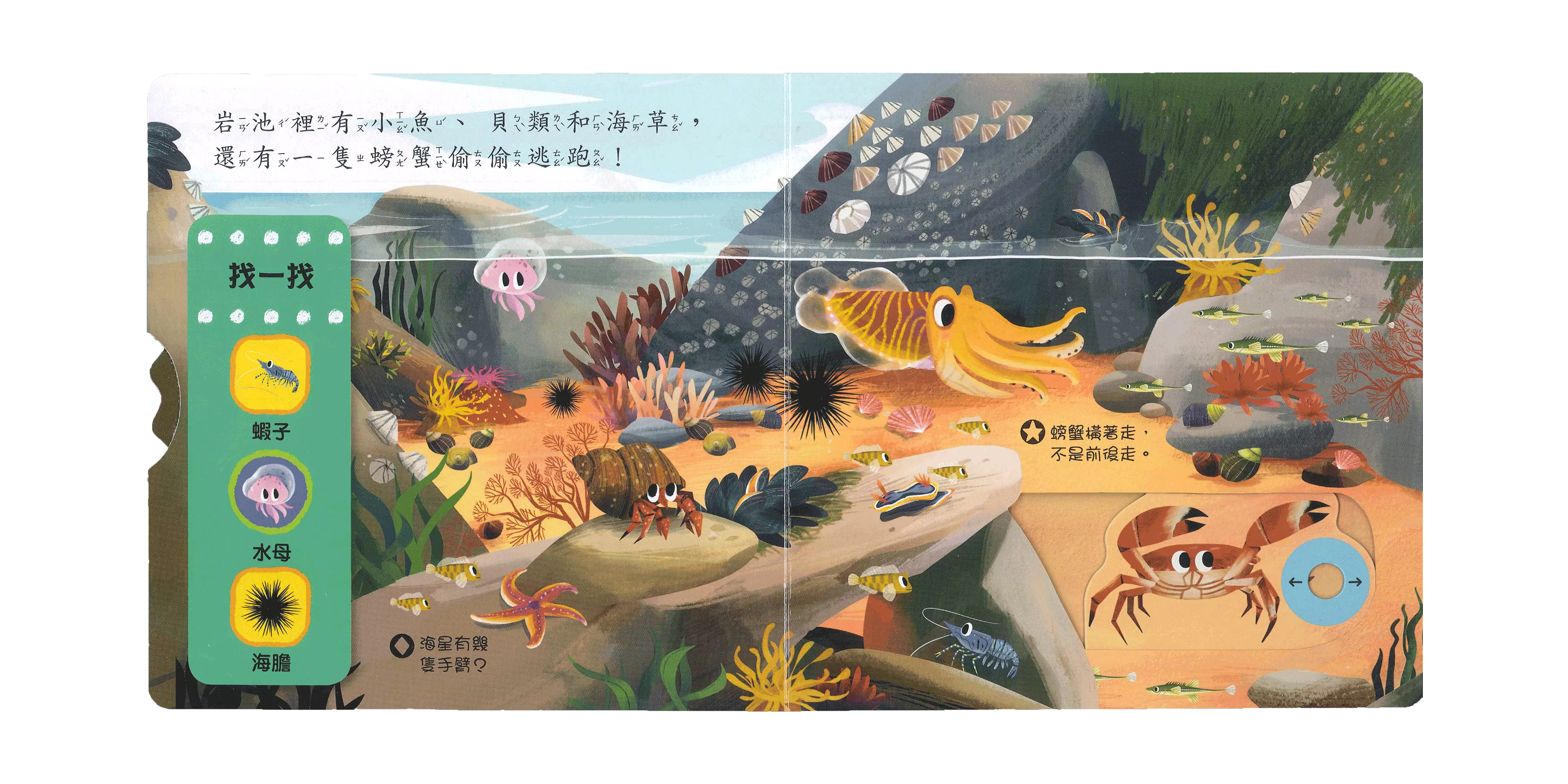好棒的水生動物-好奇寶寶推拉搖轉書
