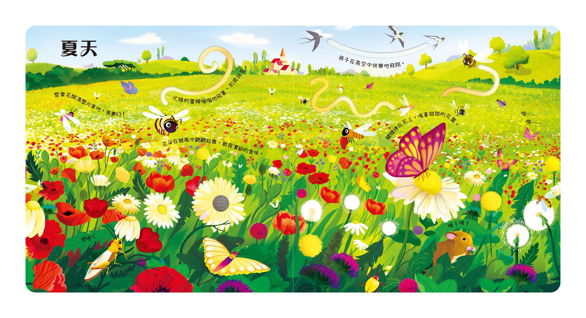 森林裡的音樂大師-四季演奏會