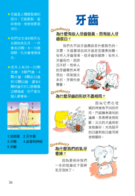 世界真有趣！探索人體的奧秘