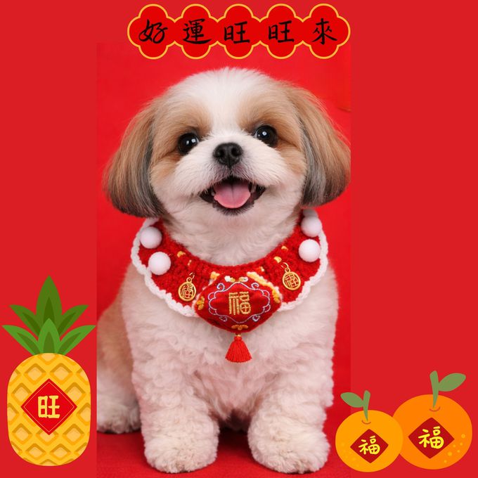 love, charlotte - 新年喜氣旺來福到寵物圍脖項圈 - (脖圍(45cm內))