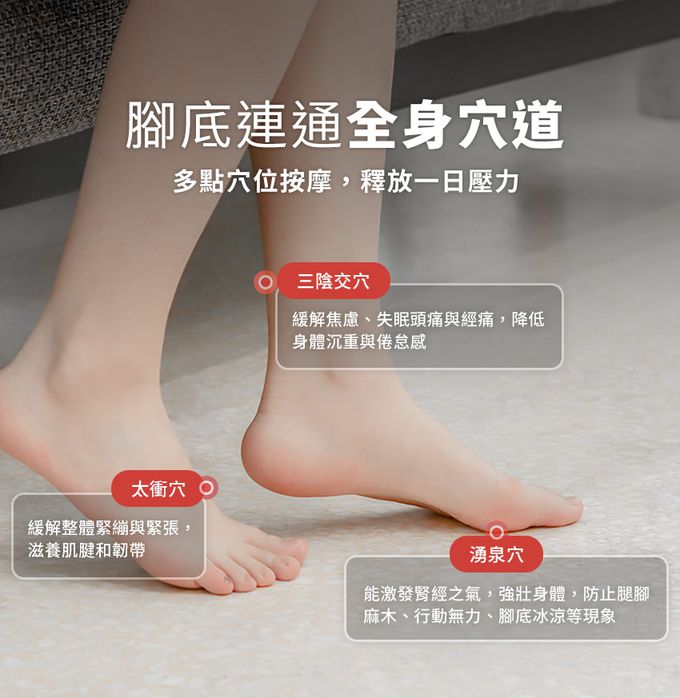 3ZeBra - 微電腦控溫SPA泡腳機-白色