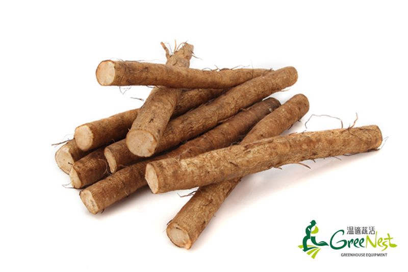 【鋐洲生技有機農場】有機蔬菜水果箱 / 有機芭樂