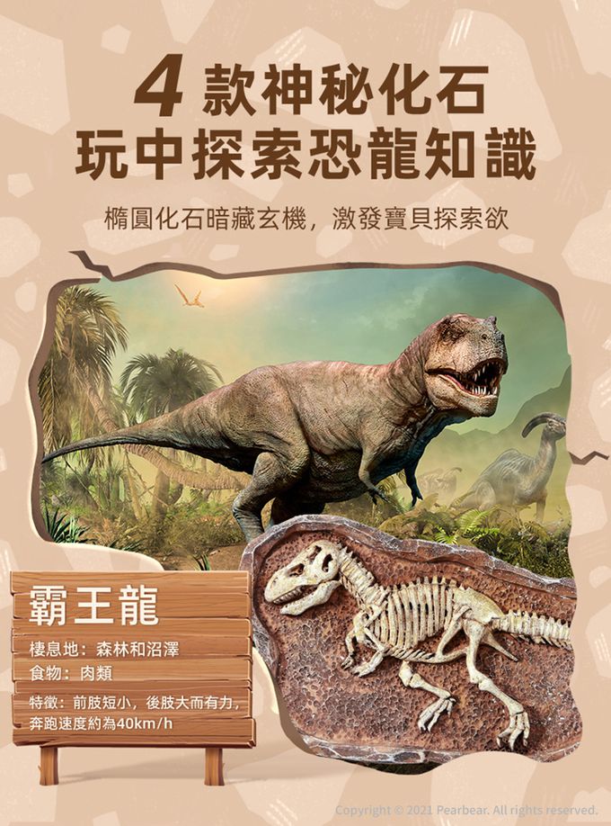 MiDeer - 考古挖掘套組-雷龍