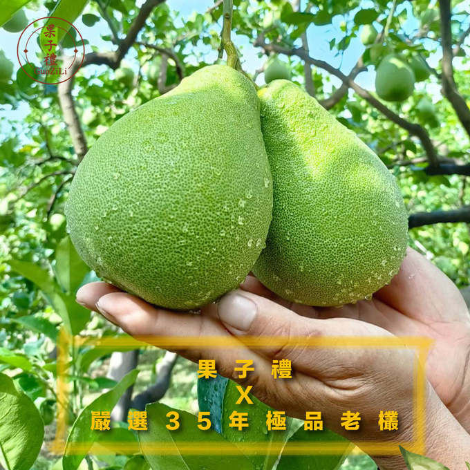 果子禮 - 35年喝乳酸菌長大的老欉文旦5斤X4箱