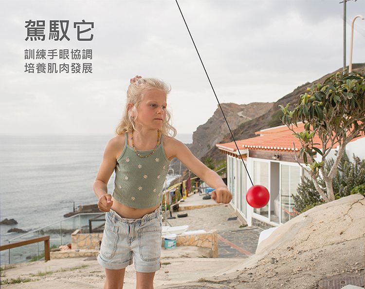 荷蘭BS - 門掛式健力球