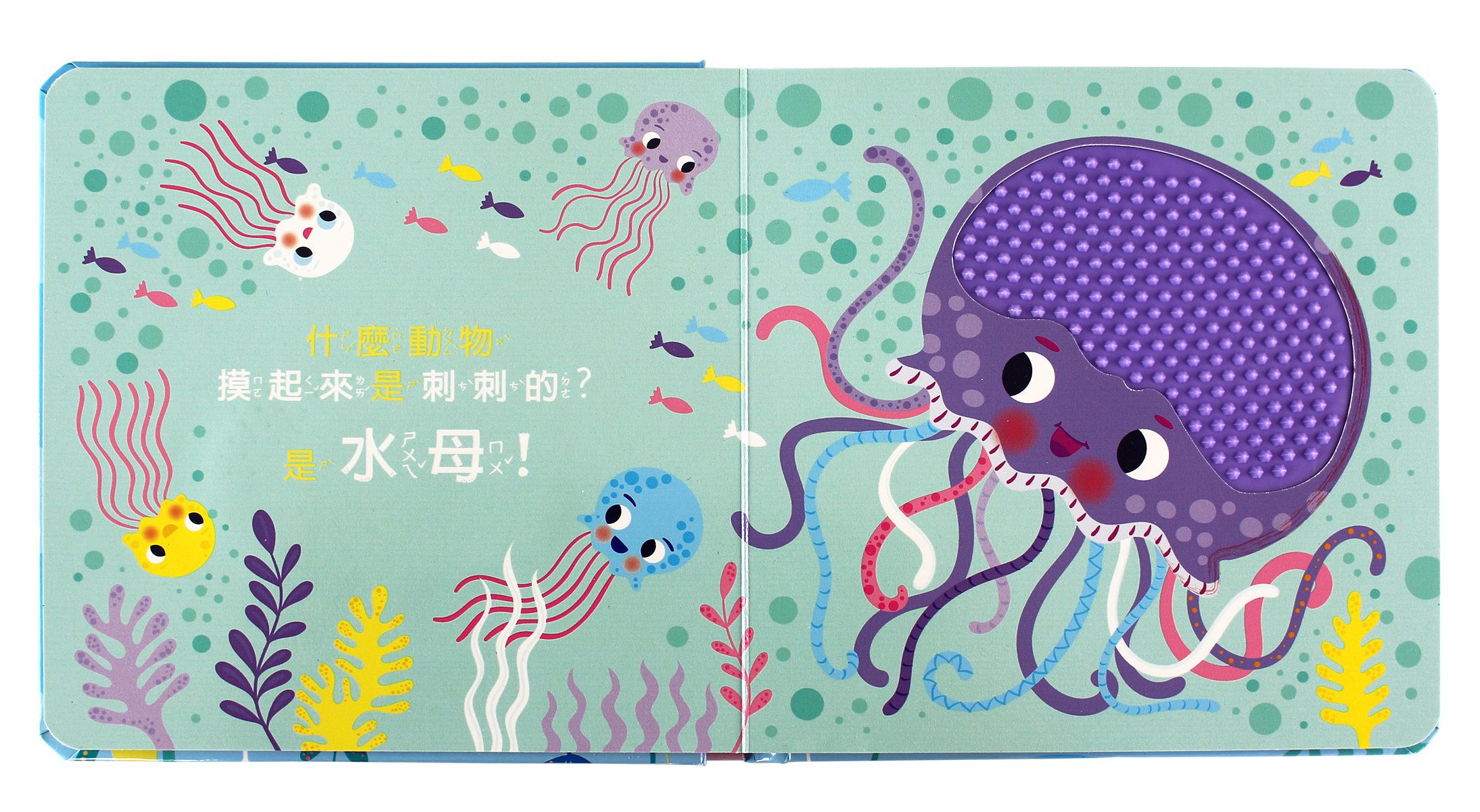 神秘的海洋-觸摸認知書