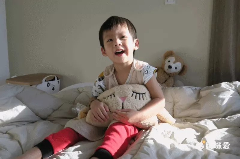 午覺趴睡x安撫【美國 寶貝想夢枕】可愛動物