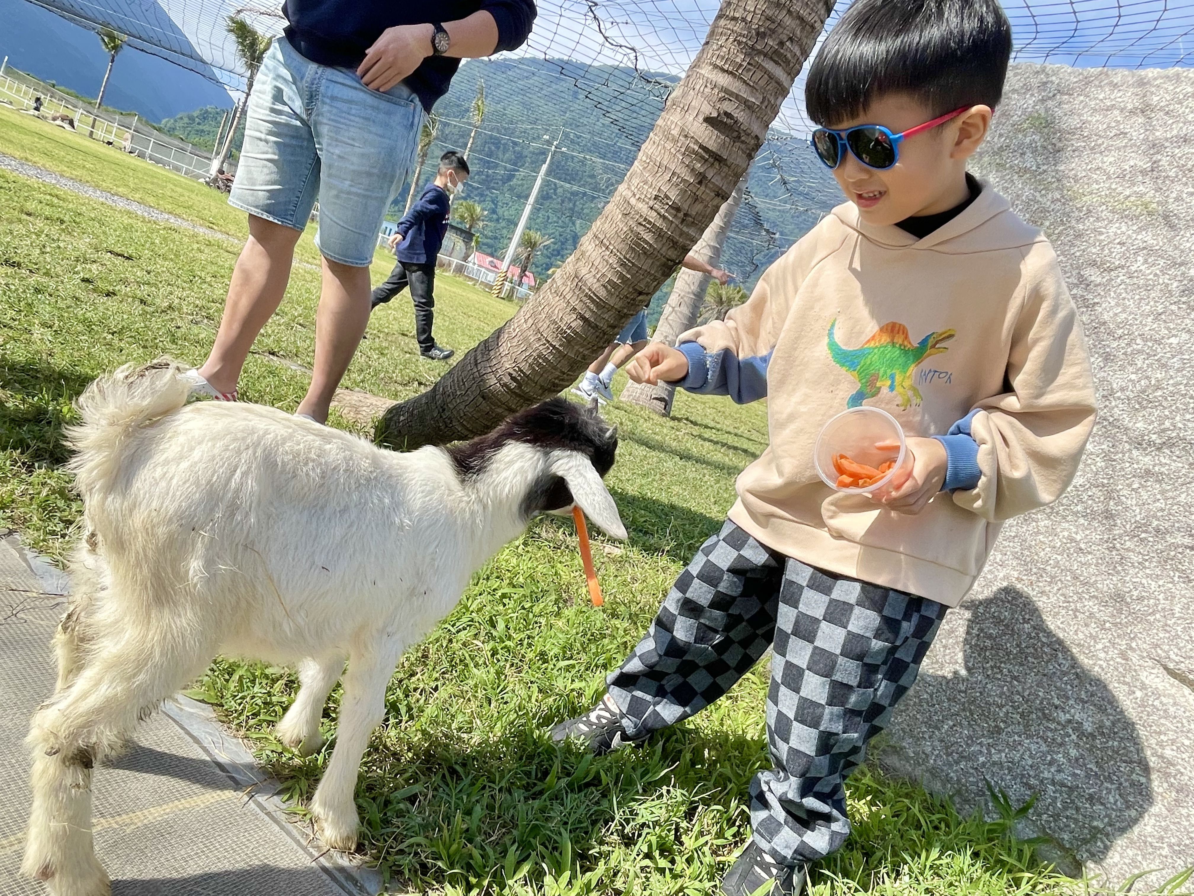 花蓮【悅樂旅店】3折起★再送樂園門票！
