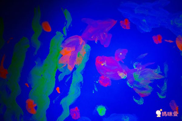 英國Brian Clegg - 好洗無毒手指顏料-6色(螢光色)