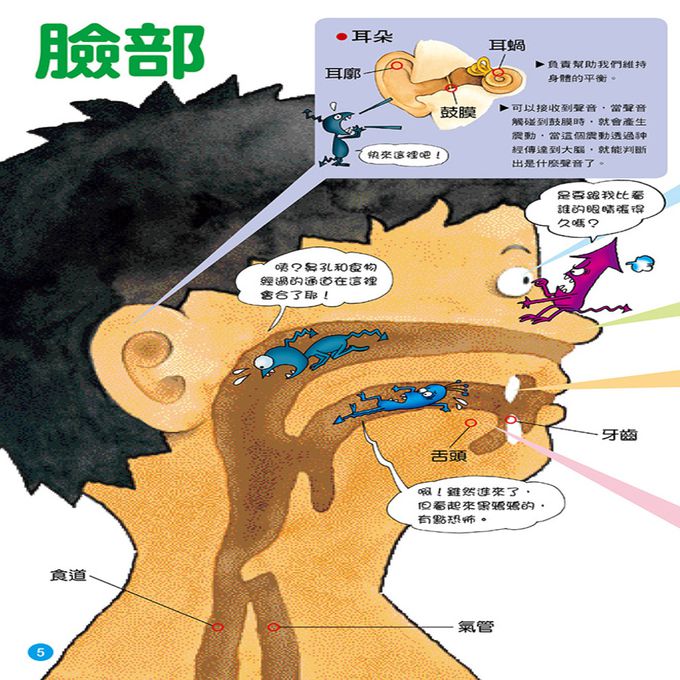 健康大繪本：人體奧祕大探險