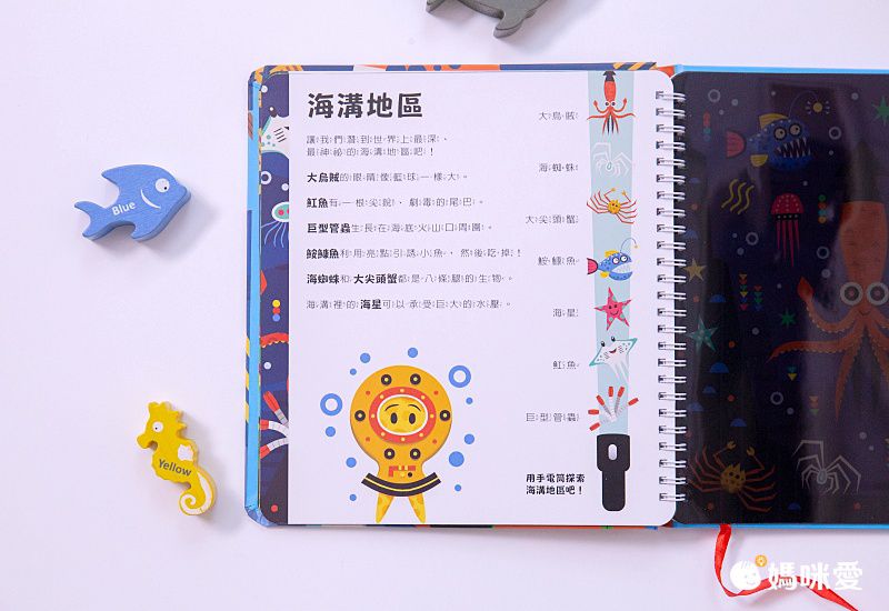 【禾流文創】拿起手電筒，來場夜間探險！『Spotlight！夜遊系列』