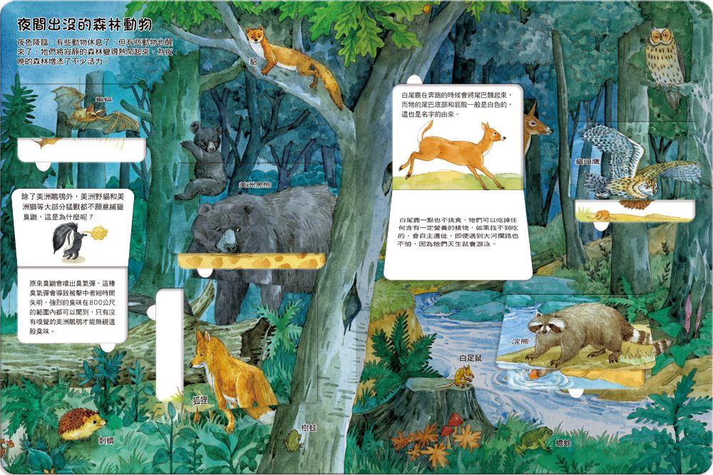 我的STEAM翻翻書：無奇不有的動物-內含7個場景+53個翻頁小機關