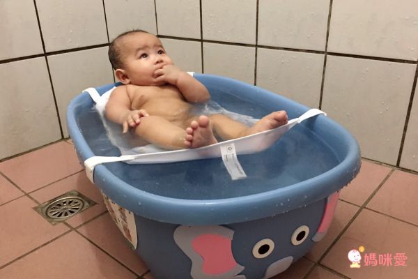 美國 PRINCE LIONHEART