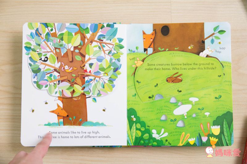 下殺42折！六本精裝只要 $999 ✦ 英國 Usborne ✦ Peep Inside 系列