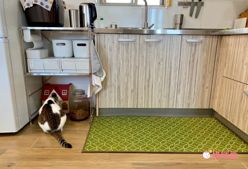 【日本池彥】高品質藺草 防蟎遊戲墊Ｘ草蓆Ｘ野餐墊