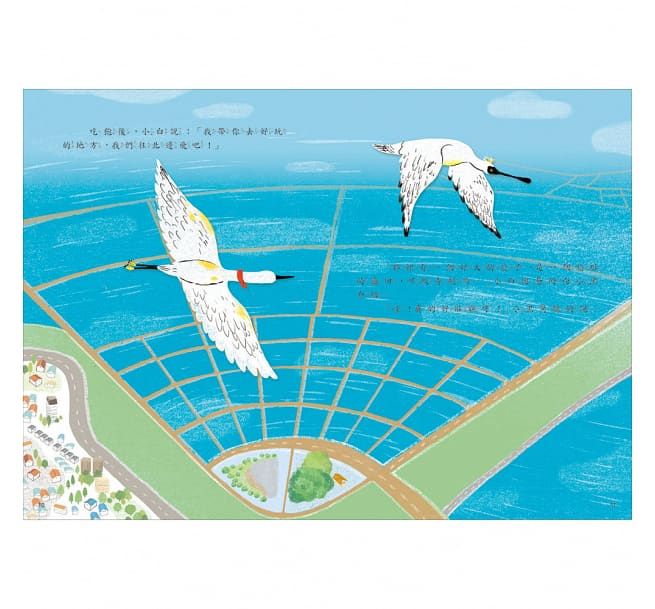 小黑和小白的臺南探險