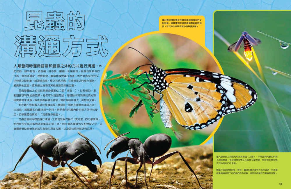 國家地理科學盒子：成為昆蟲觀察家 (盒裝 / 全彩印刷)