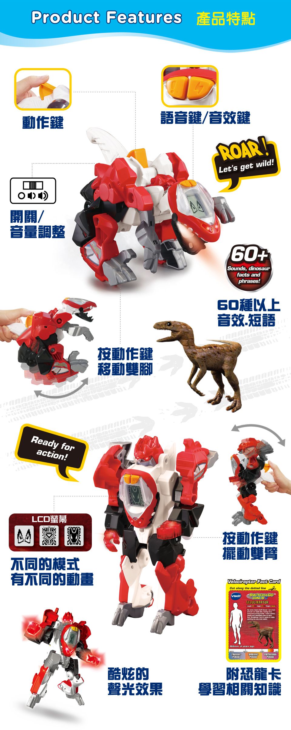 Vtech - 聲光變形恐龍-守護者伶盜龍